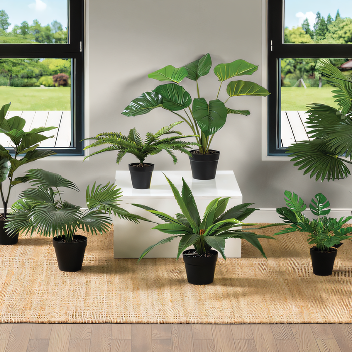 A Comprehensive Guide to Buy Plant Stands and Flower Beds