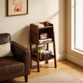 Ladder Shelf