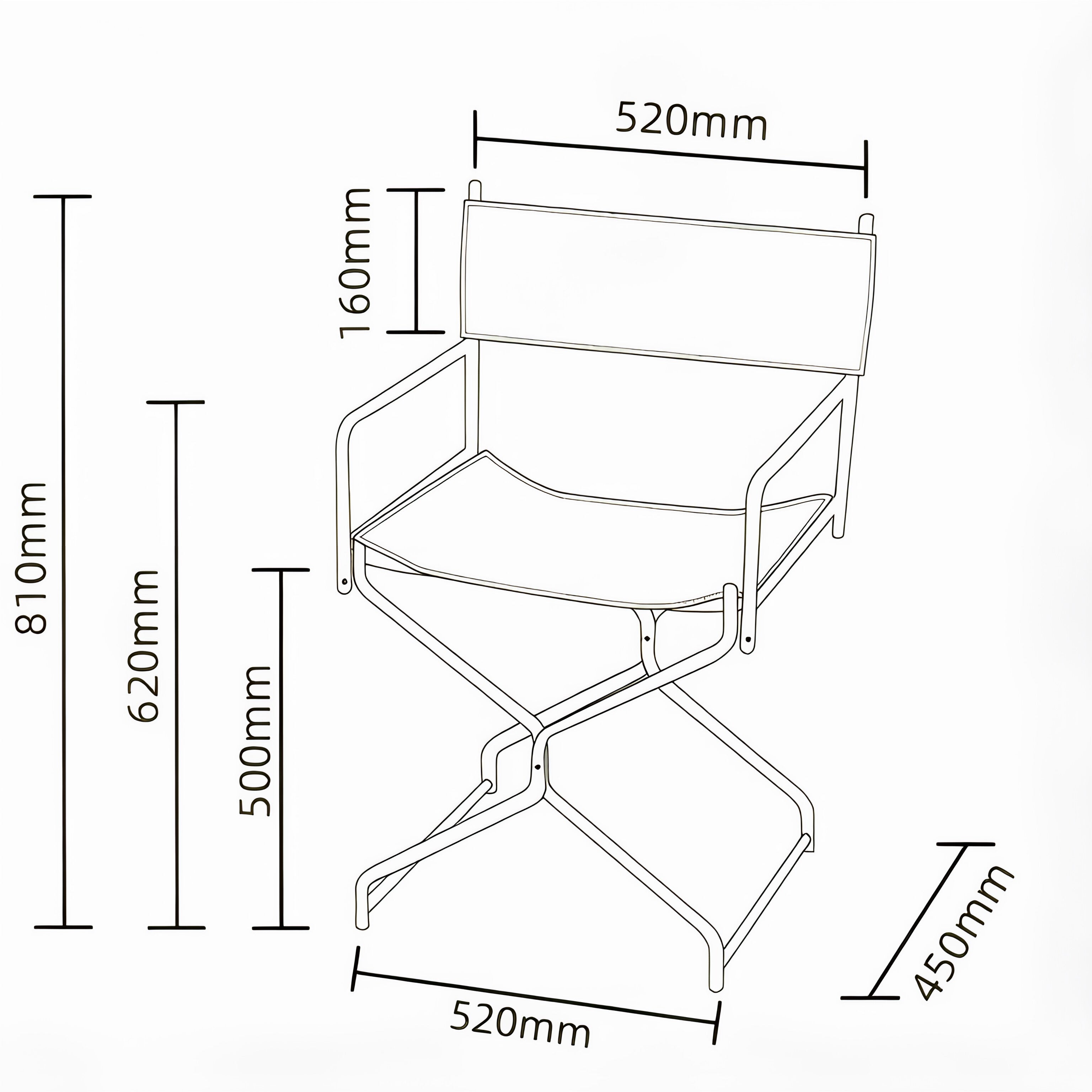 Nomad Director Chair