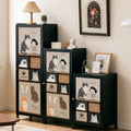 Cat-Panel Cabinet