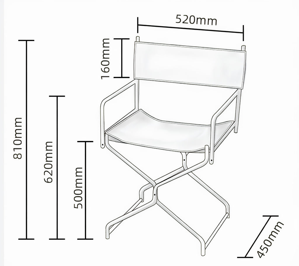 X-Frame Director Chair